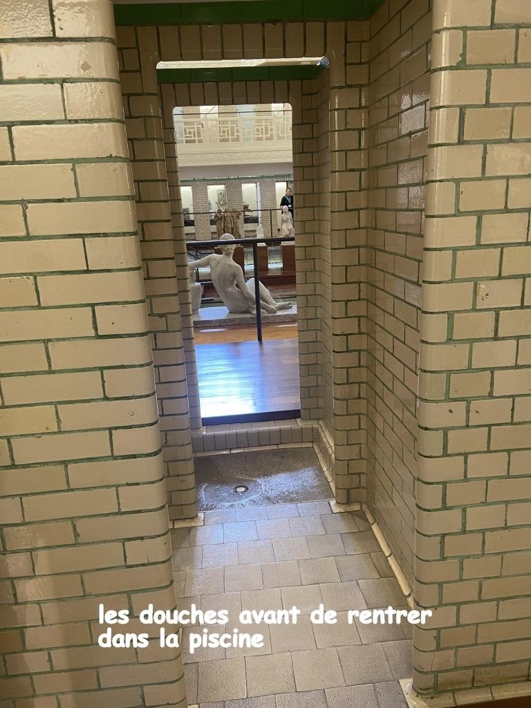 Img 7976